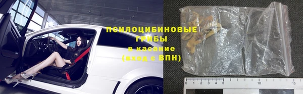 прущие грибы Ладушкин