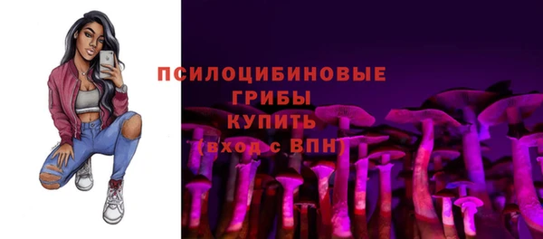 прущие грибы Ладушкин