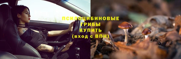прущие грибы Ладушкин