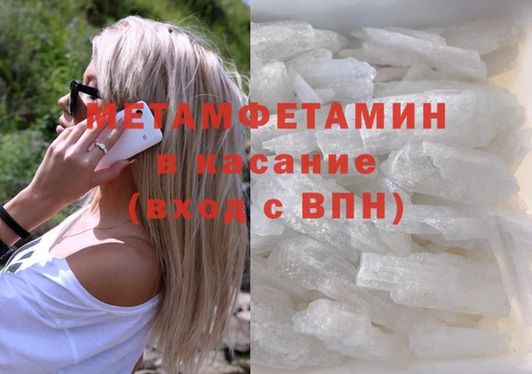прущие грибы Ладушкин
