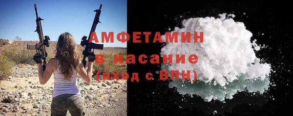 прущие грибы Ладушкин
