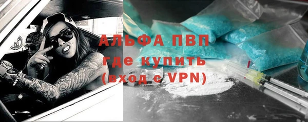 прущие грибы Ладушкин