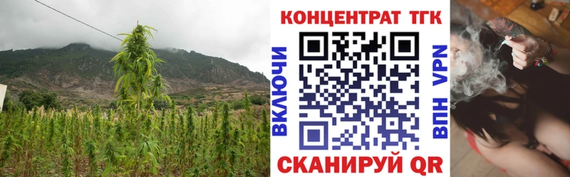 купить Кисловодск Дистиллят ТГК Wax