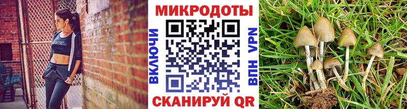 ссылка на мегу ССЫЛКА  Кисловодск  Галлюциногенные грибы мухоморы 